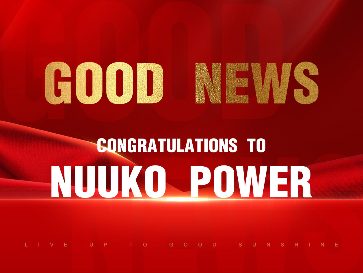 NUUKO POWERが安徽省の越境電子商取引企業トップ10に選ばれたことを祝福します